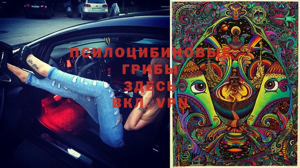 синтетический гашиш Алексеевка