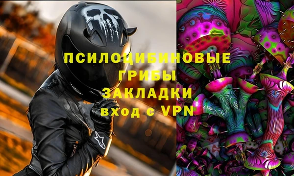 винт Алексин