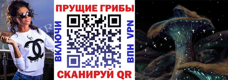 Псилоцибиновые грибы Psilocybe  купить наркотик  Ужур 